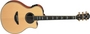 Gitara Yamaha APX-900