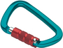 Climbing Technology Large CF SG (Screw Gate)