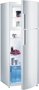 Chłodziarko-zamrażarka Gorenje RF60309DW