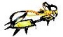 Raki Grivel - G12 T