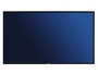 Monitor LCD NEC P461