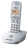 Telefon Panasonic KX-TG2511PDT