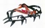 Raki Raptor Climbing Technology