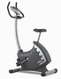 Rower treningowy pionowy BH Fitness Rhyno