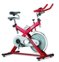 Rower treningowy spinningowy BH Fitness SB 2