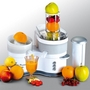 Ariete Tutti Frutti 425